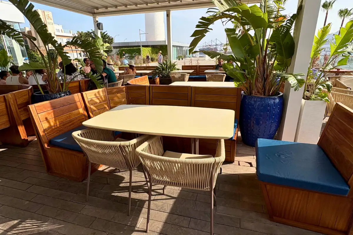 Wooden benches and tables with potted palms on the Cobalto 15 terrace Malaga
