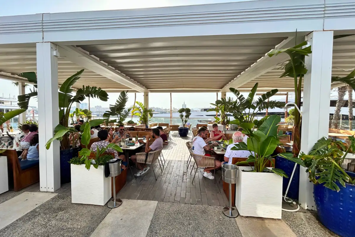 Diners under the covered terrace pergola at Cobalto 15, Malaga marina
