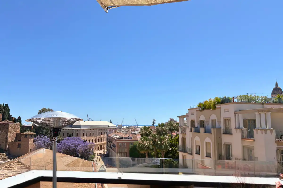 Rooftop view over jacaranda trees and old town buildings at La Terraza de Alcazaba in Malaga