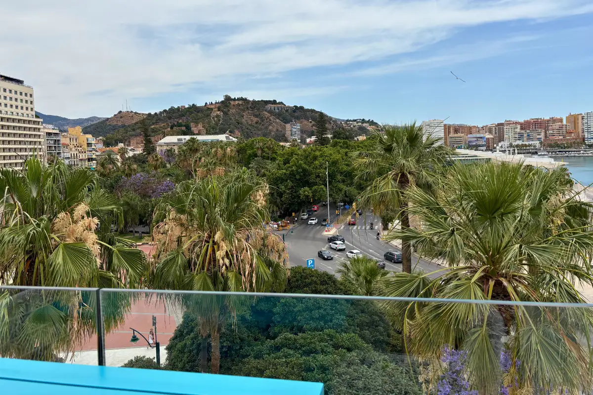 Palm-framed view of the port and mountains from La Terraza de Valeria in Malaga