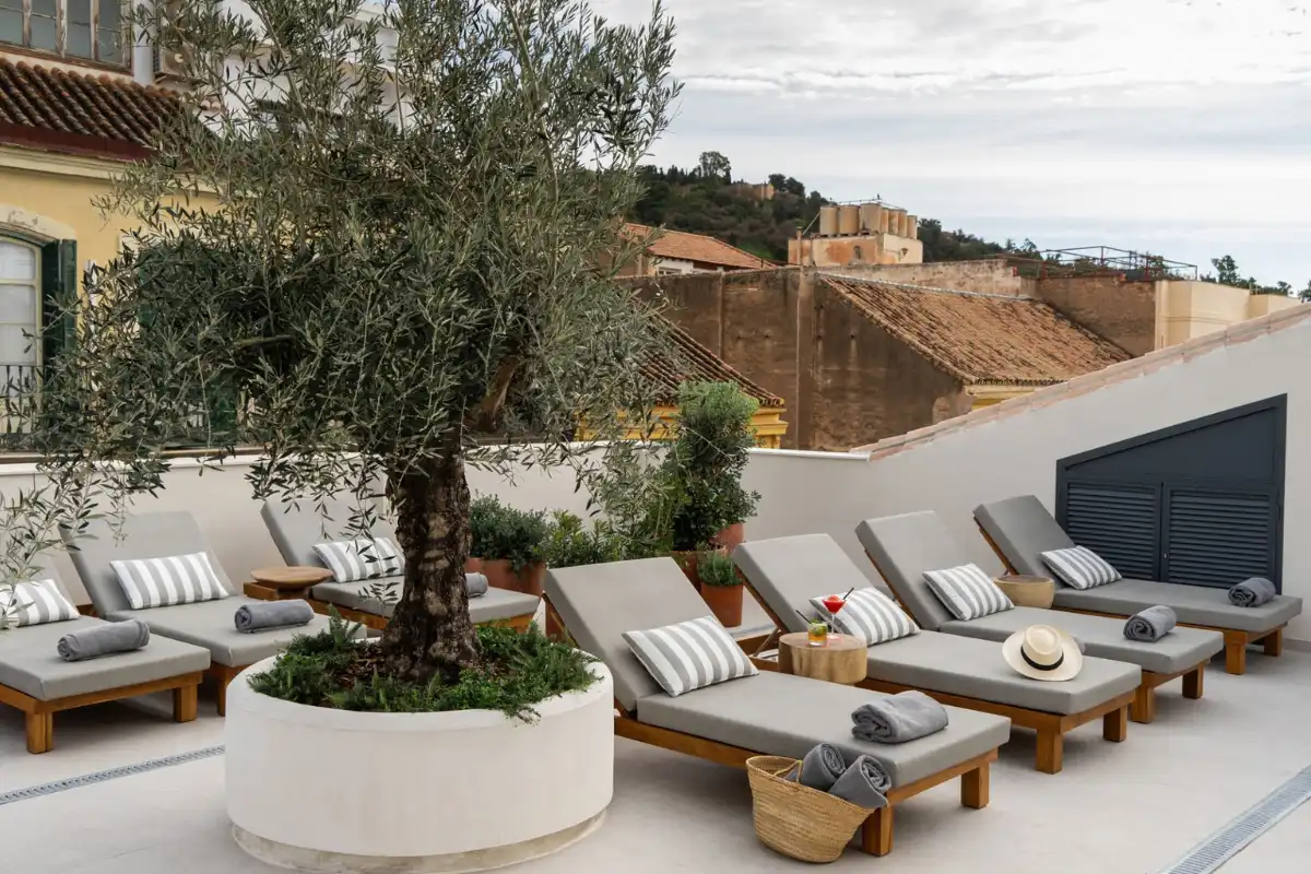 Sun loungers and a potted olive tree on the Well and Come rooftop Malaga