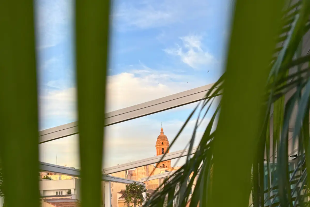 Cathedral dome glimpsed through palm fronds at La Terraza de San Juan in Malaga