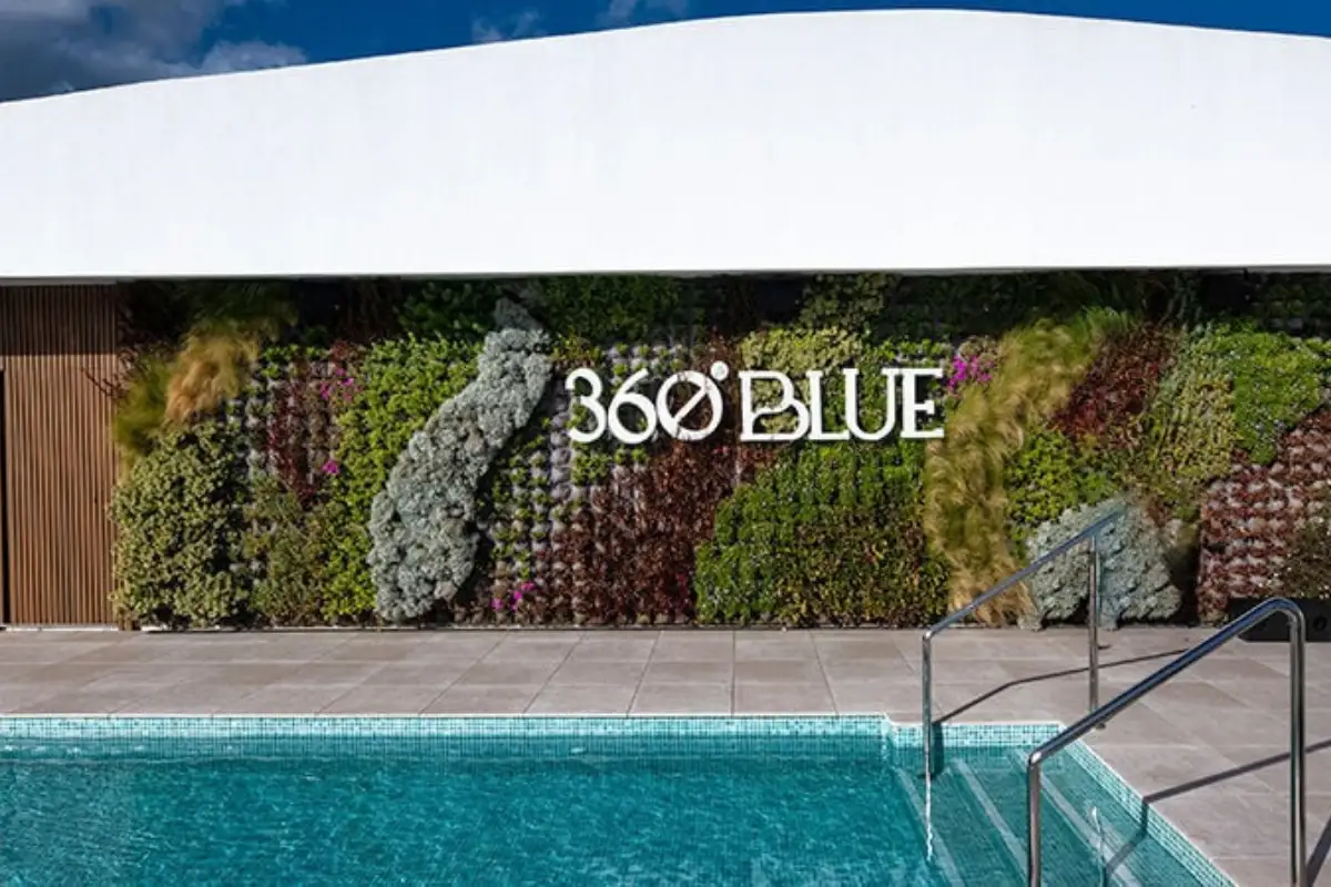 Rooftop pool beside a living green wall at 360 Blue Sky Bar Marbella